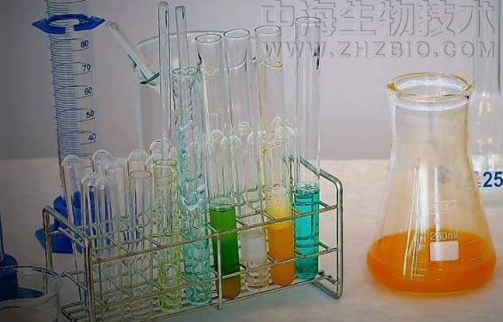淺談培養基保存放置需注意四個(gè)方面？